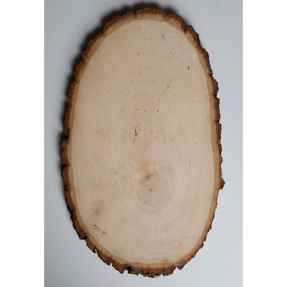 Lantern Wood Burned Pyrography Raw Edge Wood Slab Hand Crafted 15x9 - Picture 5 of 5